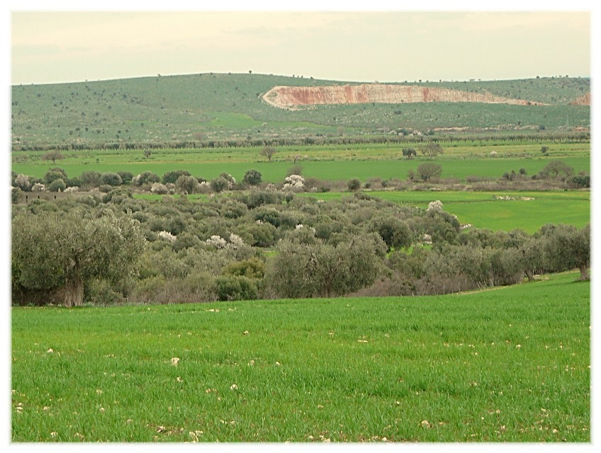 Le Steppe del Gargano